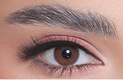 3D Colors 3D Brown