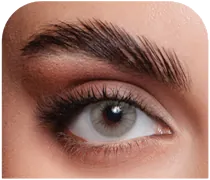 Élite Cinnamon