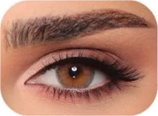 Luminous Latin Brown